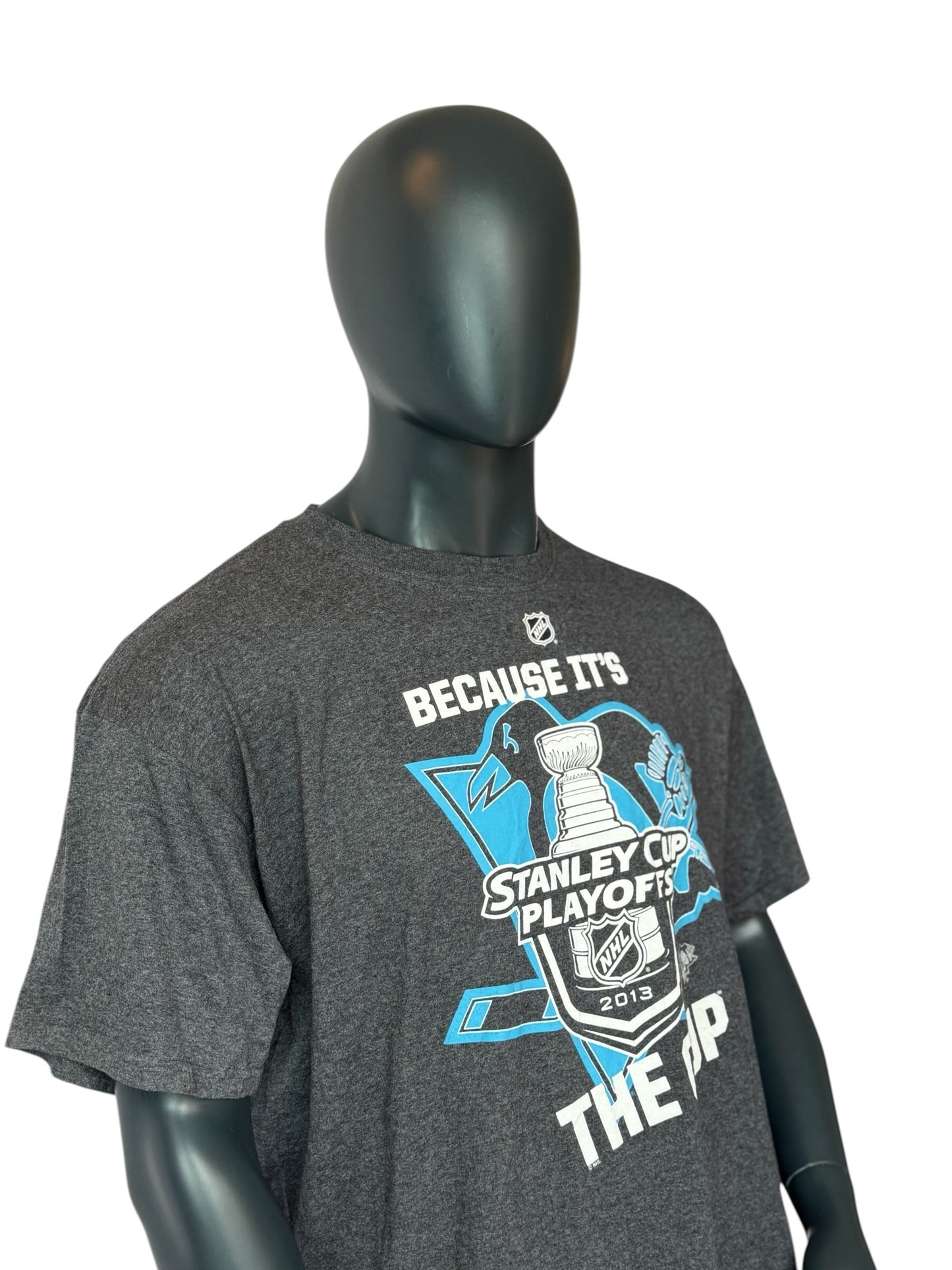 NHL Stanley Cup Playoffs 2013 T Shirt Grey Retro Vintage Graphic Tee Size XXL